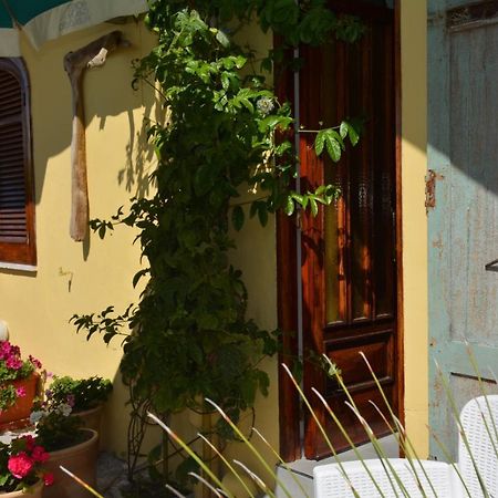 B&B Lodge Dell'Ospite Ischia 카사밋쵸라테르메 외부 사진